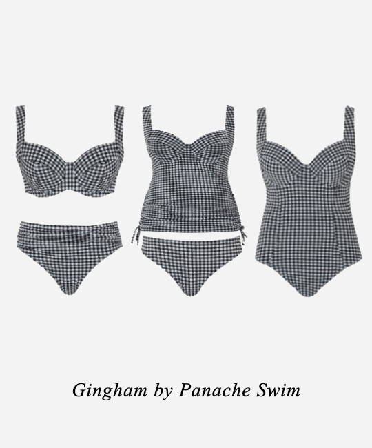 大きいサイズ水着ブランド