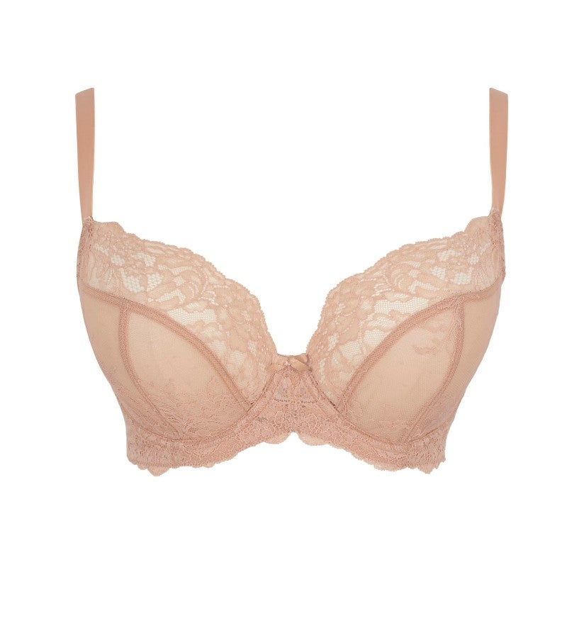 パナシェ ページ 童仙房ナーセリー＆ガーデンのテーブルランジア,庭のあじさい苗【HBA